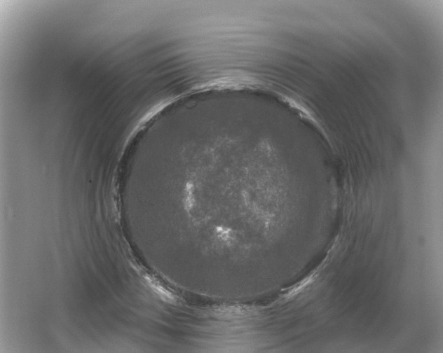 X0000066971018200603311443