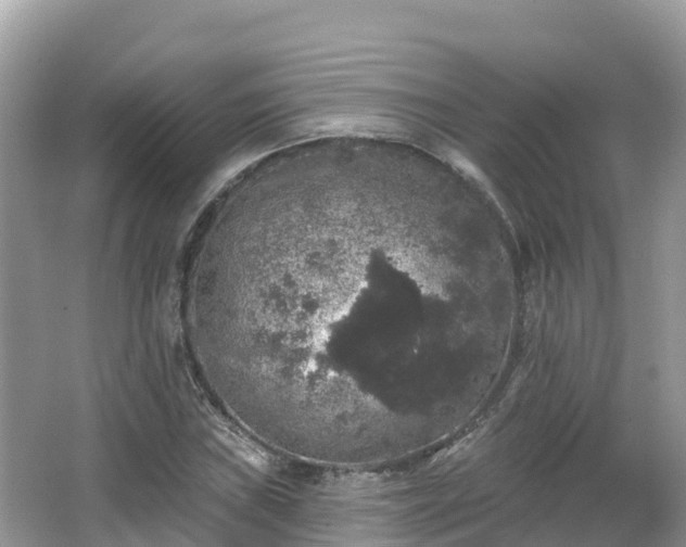 X0000066971019200603311443