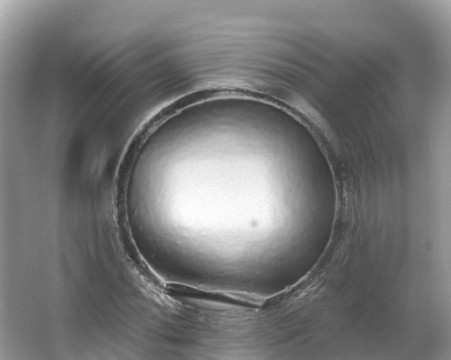 X0000066971020200603311443