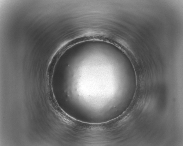 X0000066971021200603311443