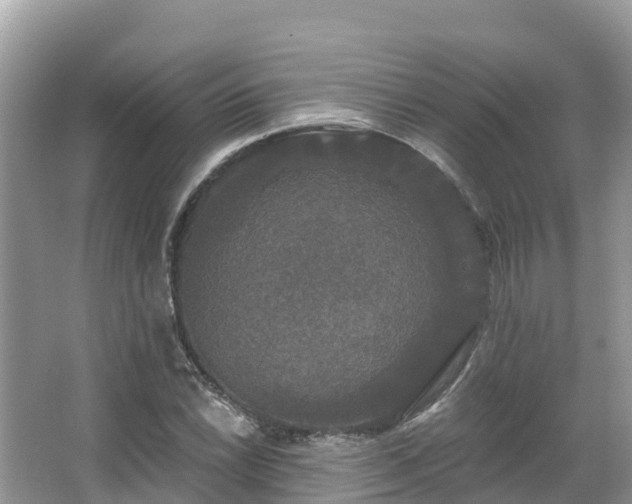 X0000066971022200603311443