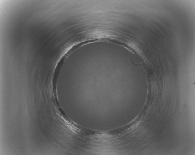 X0000066971023200603311443