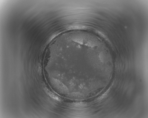 X0000066971025200603311444