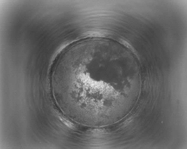 X0000066971027200603311444