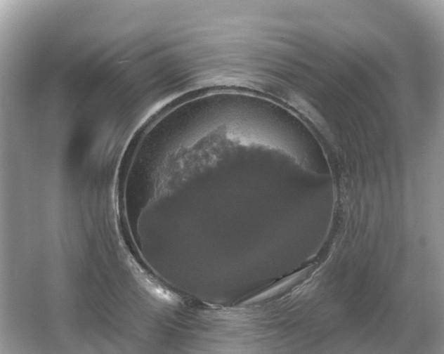 X0000066971028200603311444