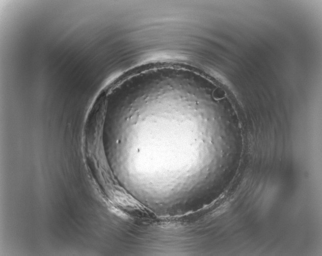 X0000066971029200603311444