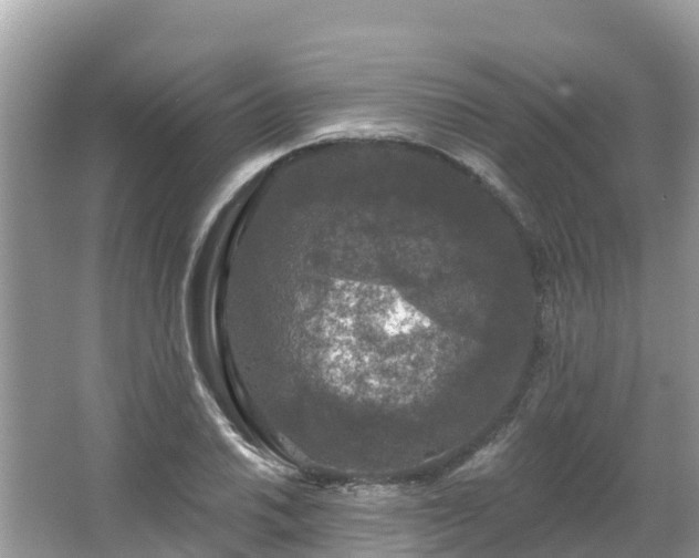 X0000066971030200603311444