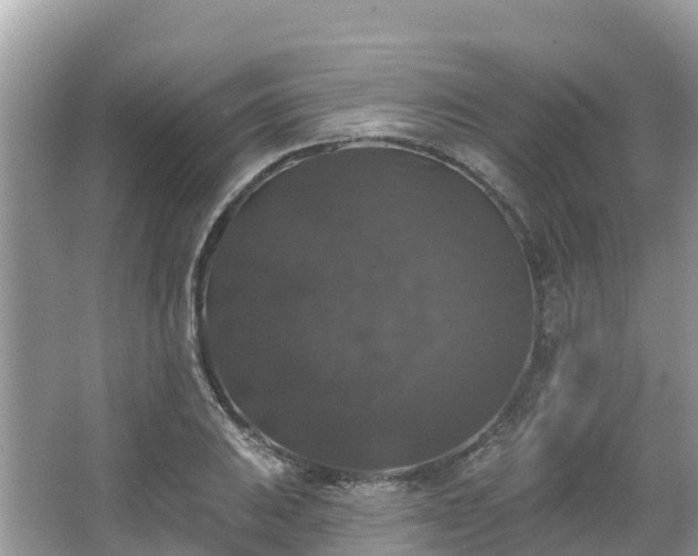 X0000066971031200603311444