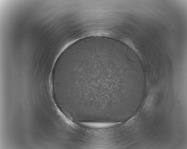 X0000066971032200603311444