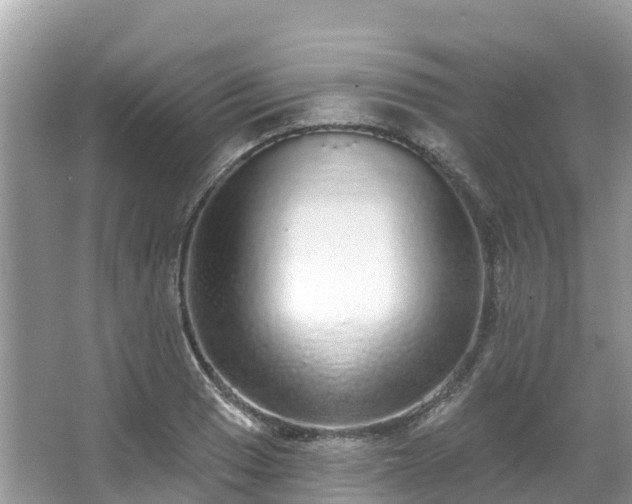 X0000066971033200603311444