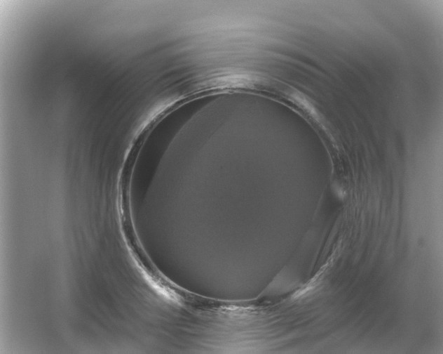 X0000066971034200603311444