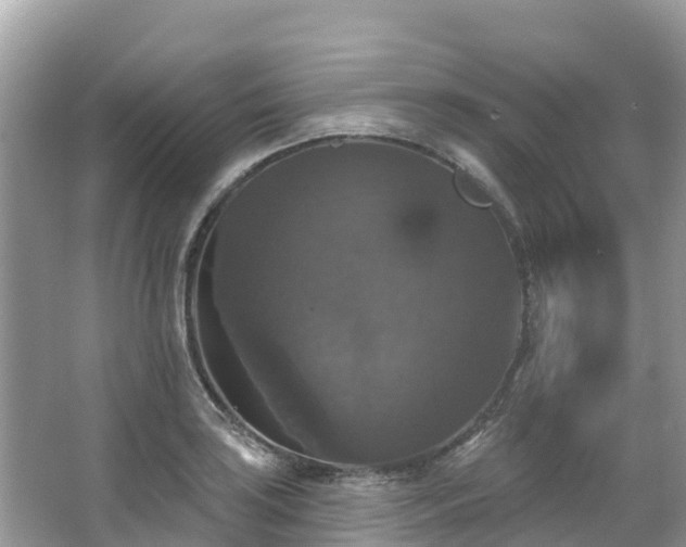 X0000066971035200603311444