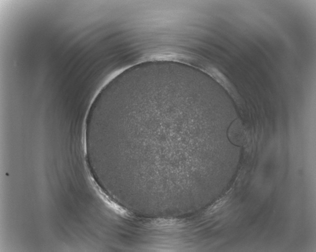 X0000066971036200603311444