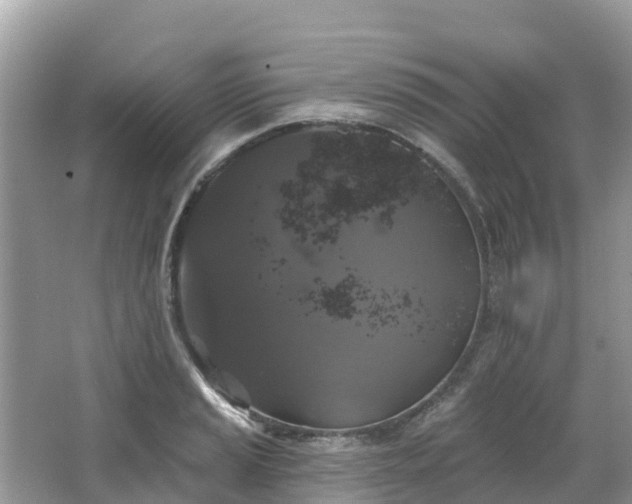 X0000066971037200603311444