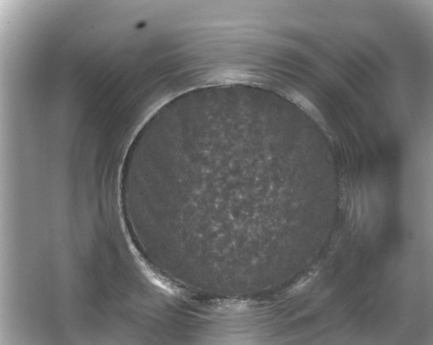 X0000066971039200603311444