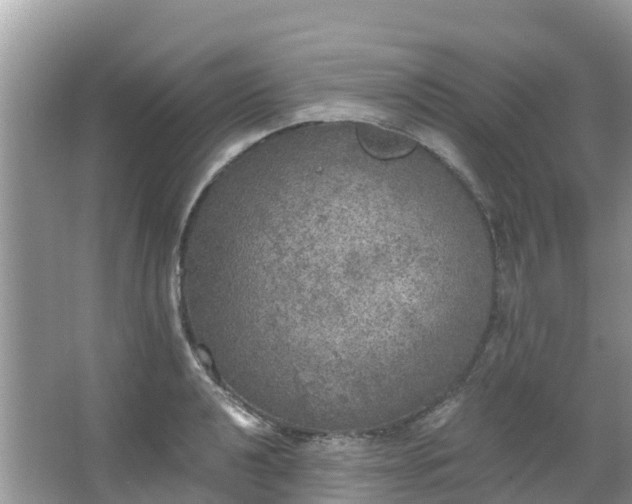 X0000066971040200603311444