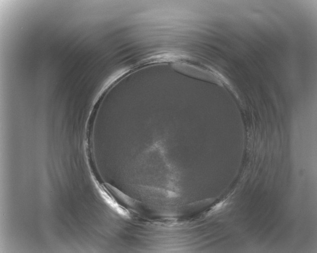 X0000066971042200603311444