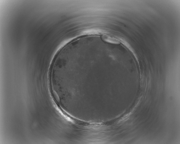 X0000066971045200603311444