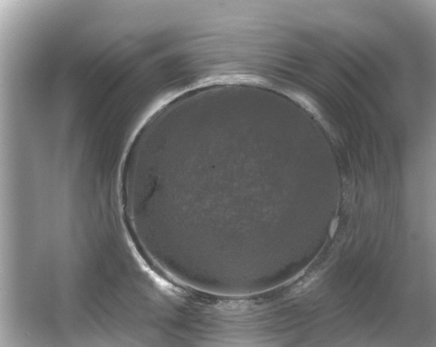 X0000066971046200603311444