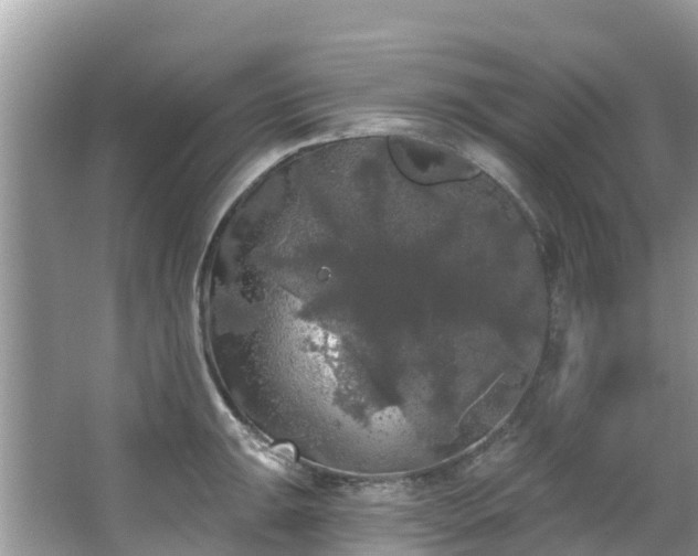 X0000066971047200603311444