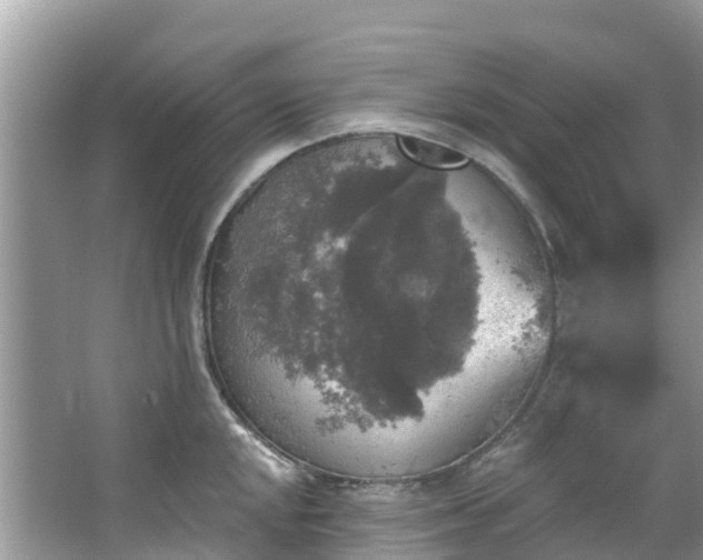 X0000066971048200603311444