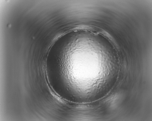 X0000066971049200603311444