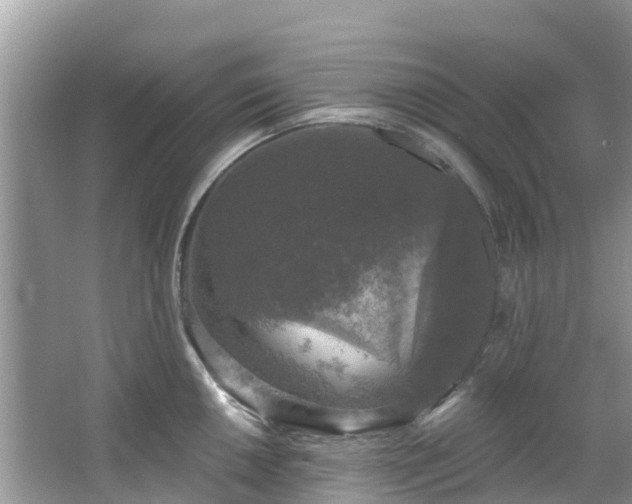 X0000066971050200603311444