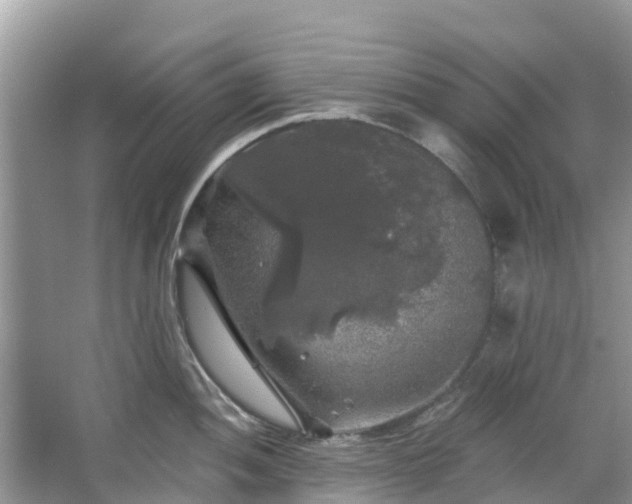 X0000066971052200603311444