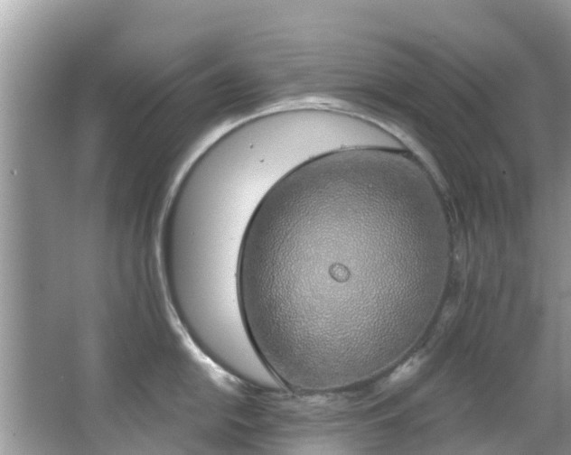 X0000066971054200603311444