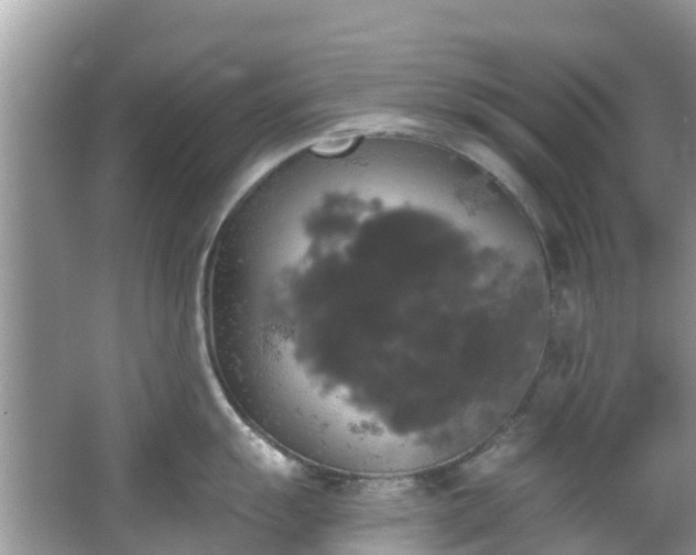 X0000066971055200603311444