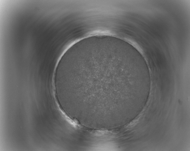 X0000066971056200603311444