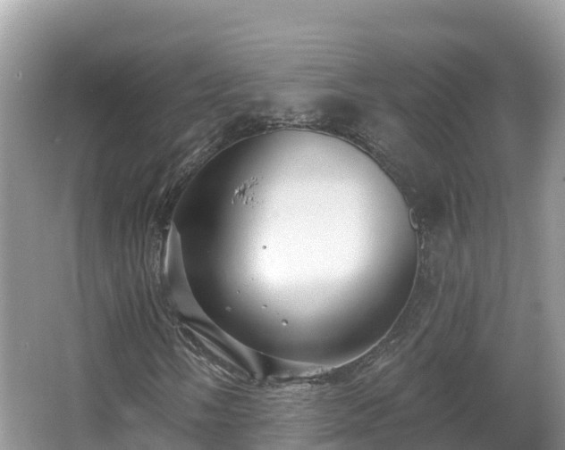 X0000066971058200603311443