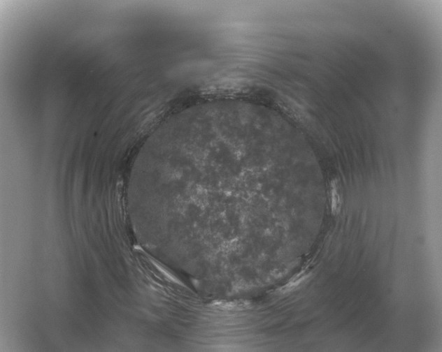 X0000066971059200603311443