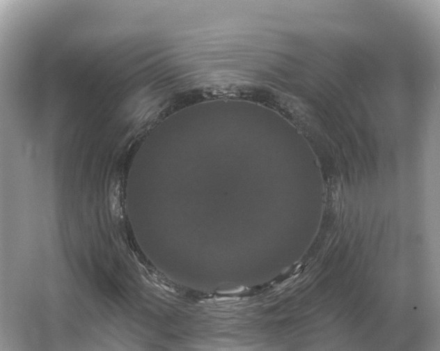 X0000066971060200603311443