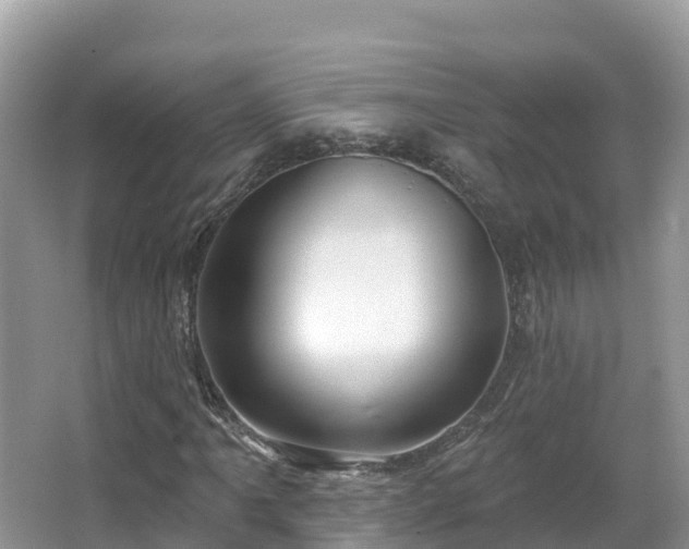 X0000066971061200603311443