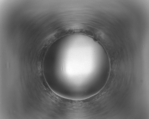 X0000066971062200603311443