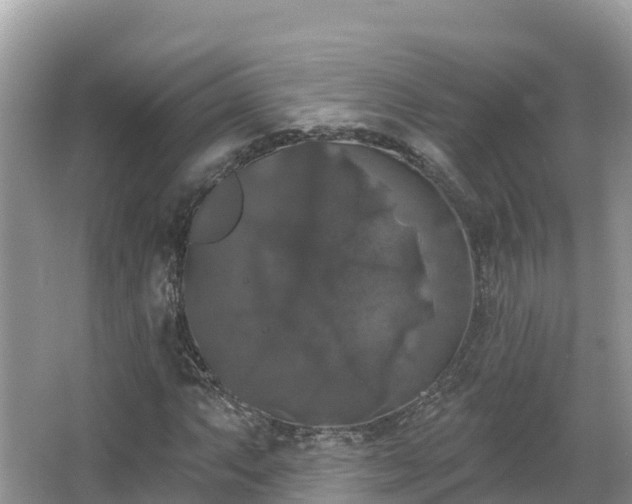 X0000066971063200603311443