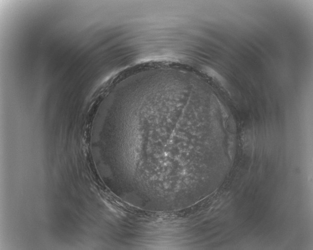 X0000066971064200603311443