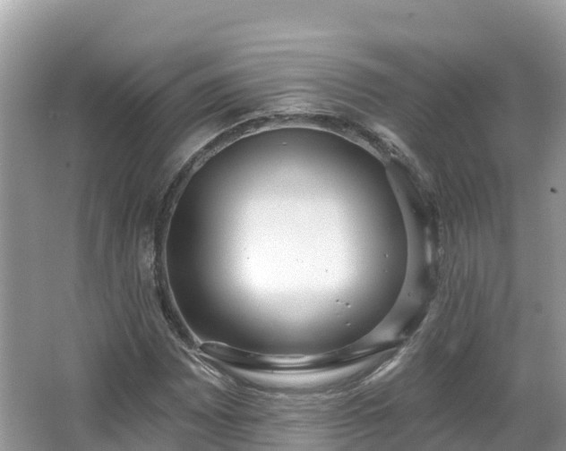 X0000066971065200603311443