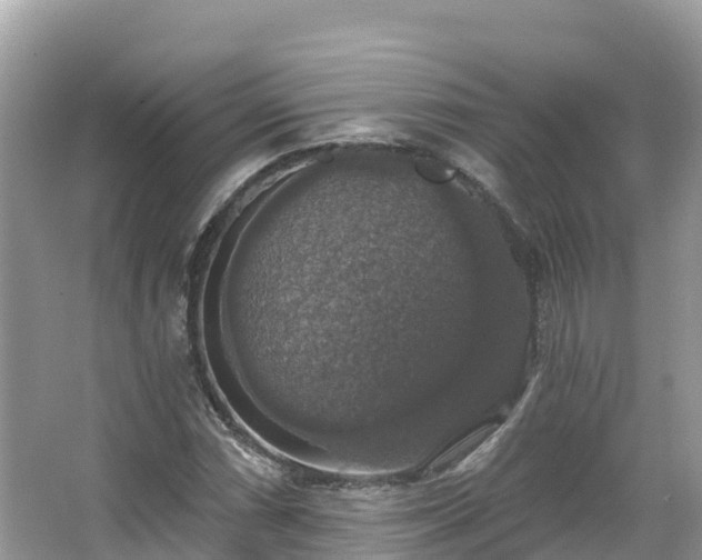 X0000066971066200603311443