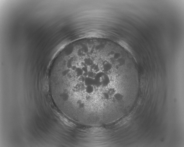 X0000066971067200603311443