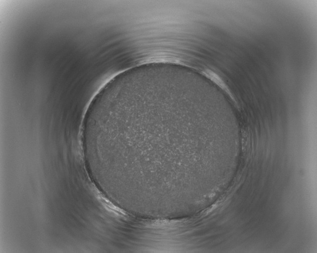 X0000066971068200603311443