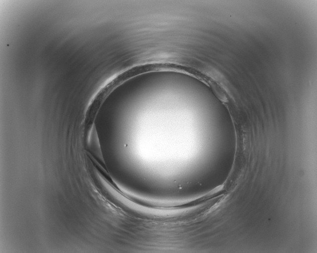 X0000066971069200603311443