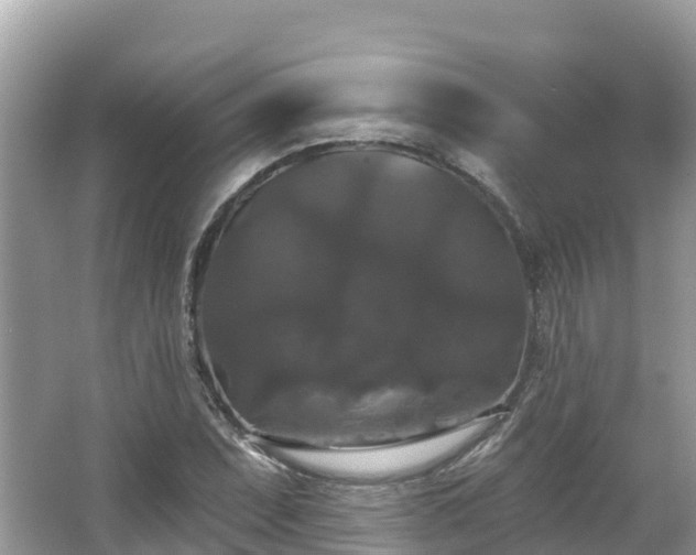 X0000066971071200603311443