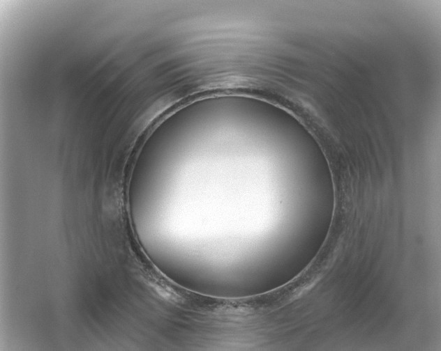 X0000066971073200603311443