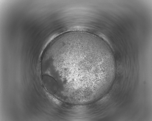 X0000066971075200603311443