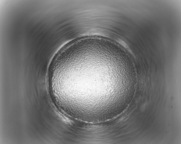 X0000066971076200603311443