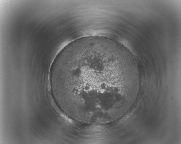 X0000066971079200603311443