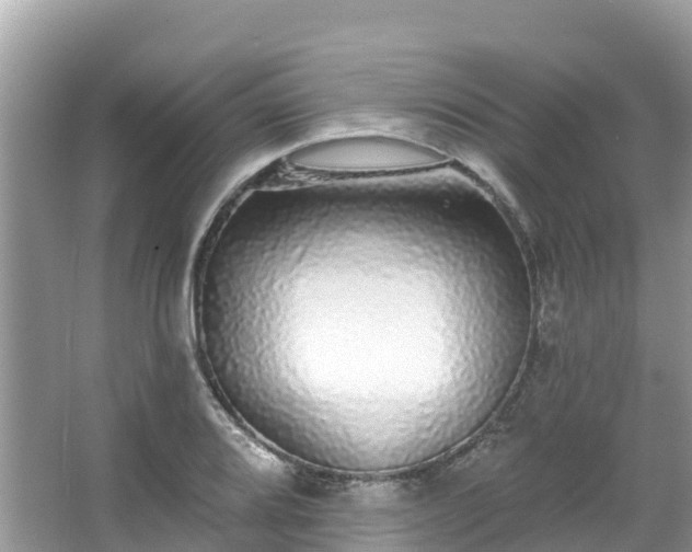 X0000066971080200603311443