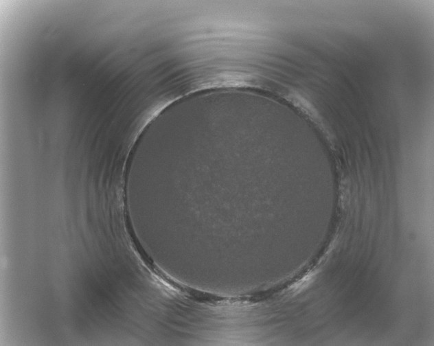 X0000066971081200603311443